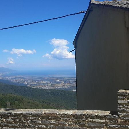 Loreto-di-Casinca Gite La Fontaine Corse מראה חיצוני תמונה