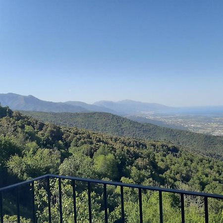 Loreto-di-Casinca Gite La Fontaine Corse חדר תמונה