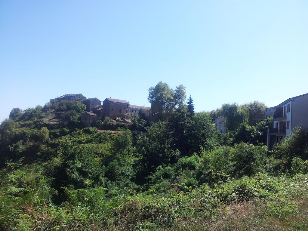 Loreto-di-Casinca Gite La Fontaine Corse חדר תמונה