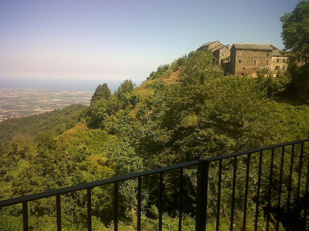 Loreto-di-Casinca Gite La Fontaine Corse חדר תמונה