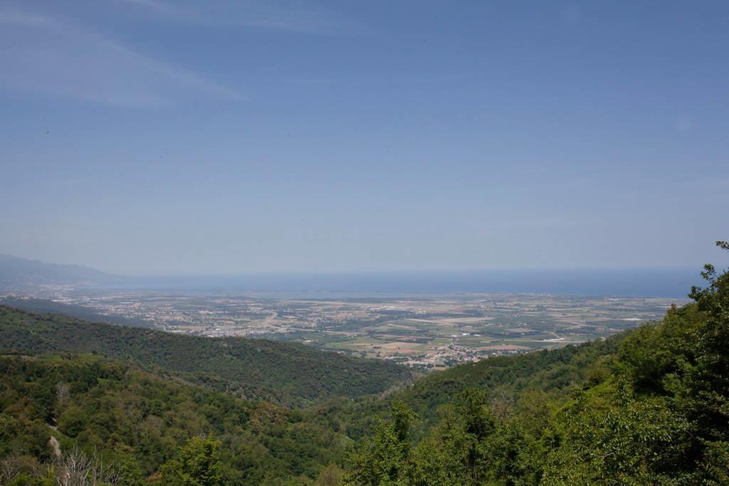 Loreto-di-Casinca Gite La Fontaine Corse חדר תמונה